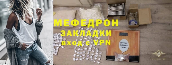 прущие грибы Лабытнанги