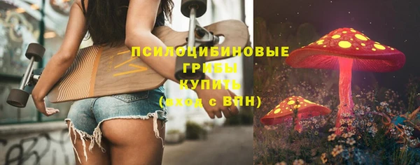 прущая мука Вязники