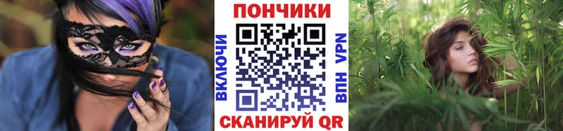 купить  сайты  Буинск  Шишки марихуана план 